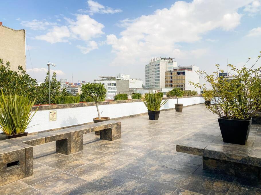 Departamento En La Condesa Roma Ciudad De Apartamento *